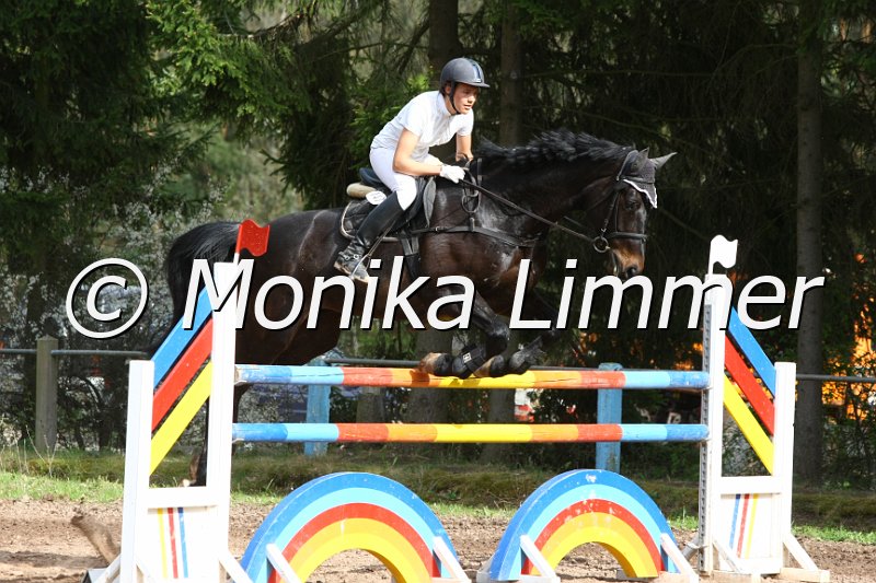 203M7113_Jack Pot_Spring_Mx.JPG